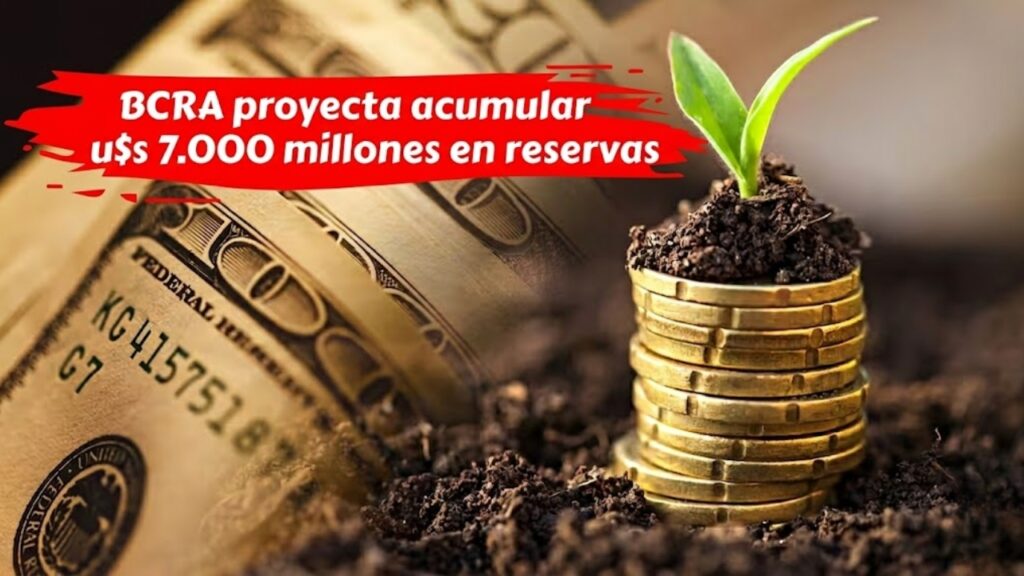 BCRA proyecta acumular u$s 7.000 millones en reservas