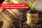 BCRA proyecta acumular u$s 7.000 millones en reservas